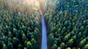 Foamit sustainability report