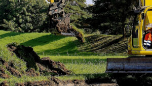 World Soil Day 2025