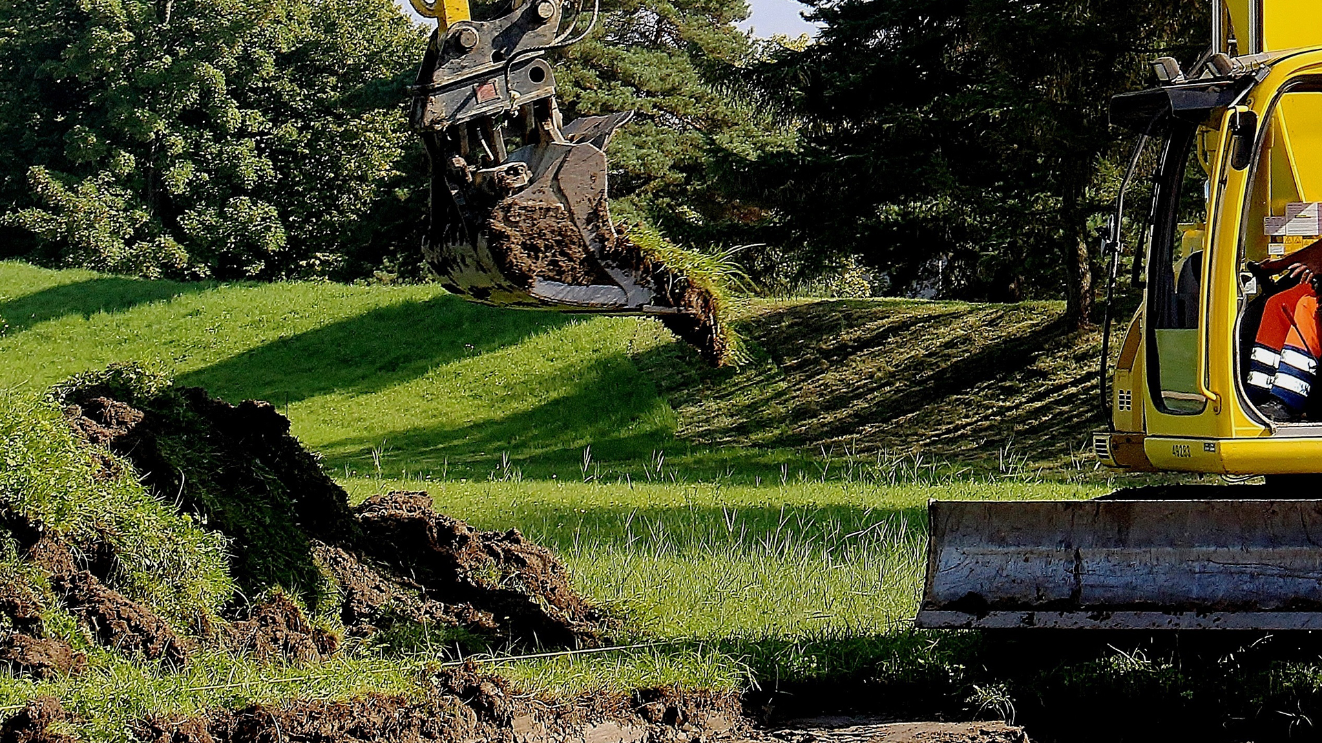 World Soil Day 2025
